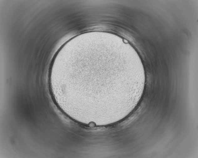 X0000111131426200907281041