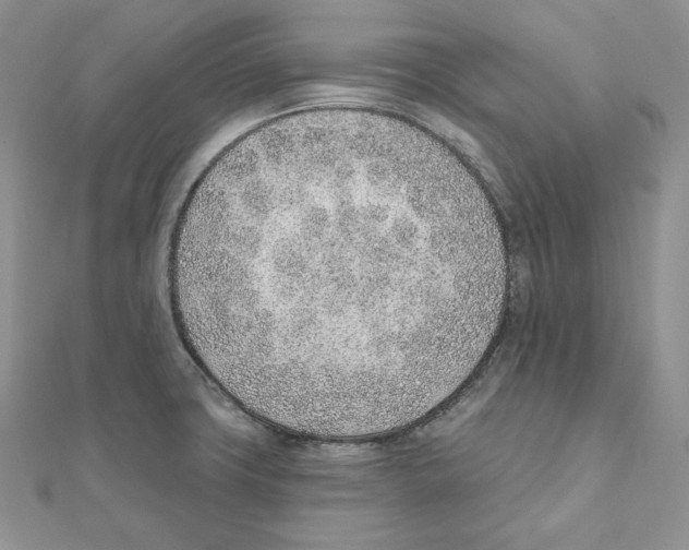 X0000111131427200907281041