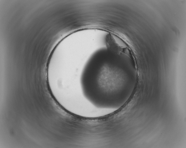X0000111131428200907281041