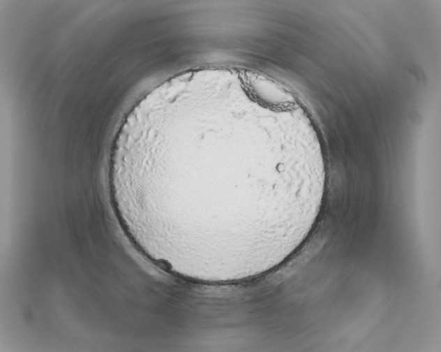 X0000111131429200907281041