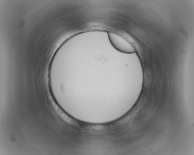 X0000111131431200907281041