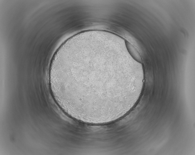 X0000111131436200907281041