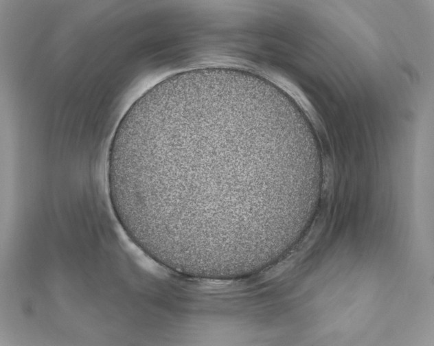 X0000111131439200907281041