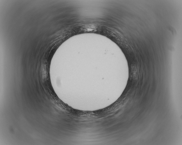 X0000111131442200907281040