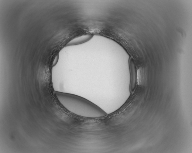 X0000111131443200907281040
