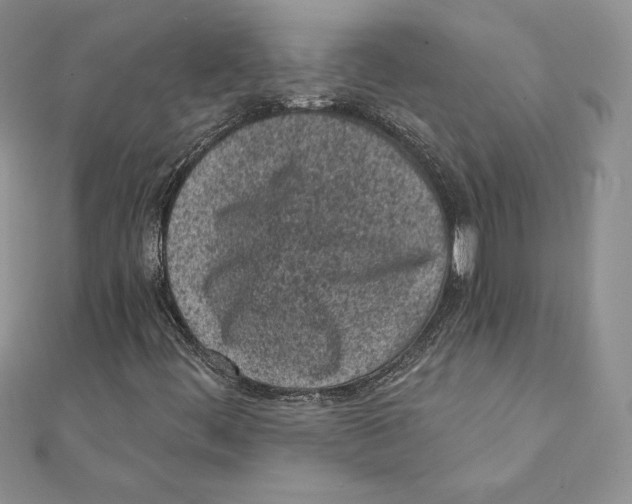 X0000111131444200907281040