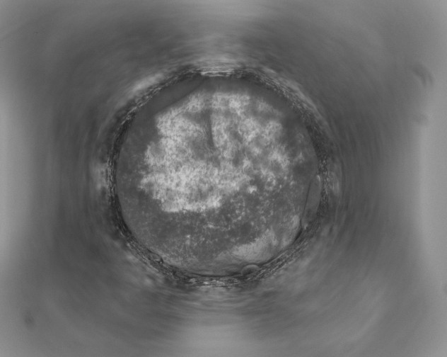 X0000111131445200907281040