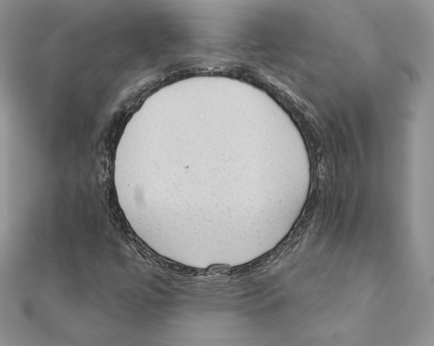 X0000111131447200907281040