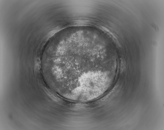 X0000111131449200907281040