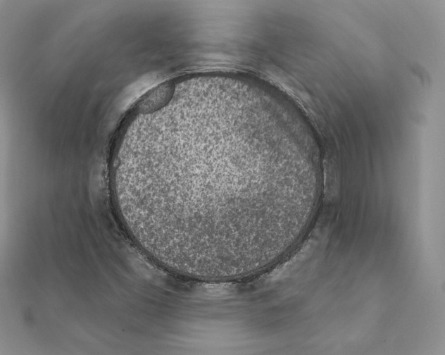 X0000111131453200907281040