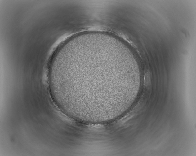 X0000111131454200907281040
