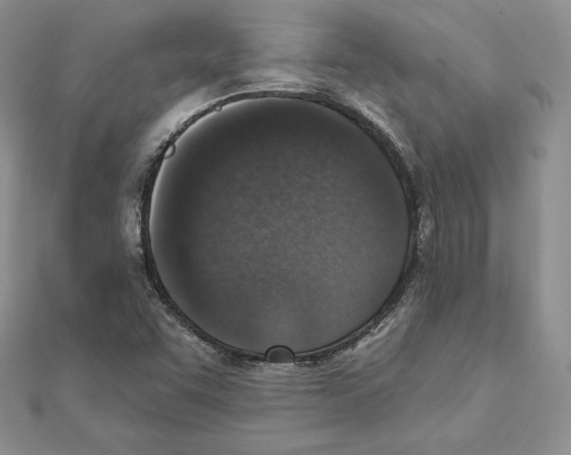 X0000111131455200907281040