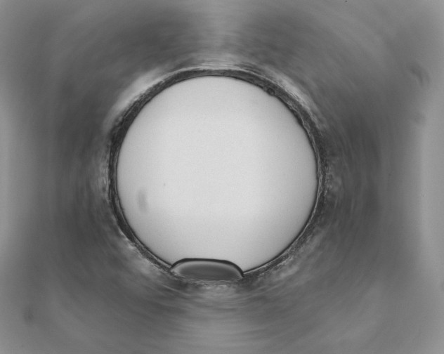 X0000111131456200907281040