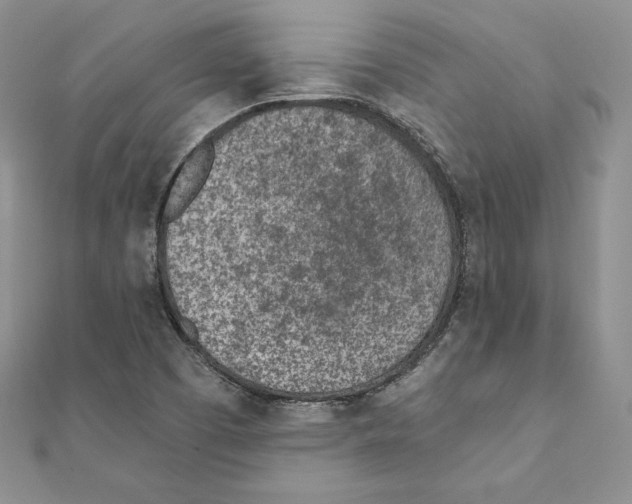 X0000111131457200907281040