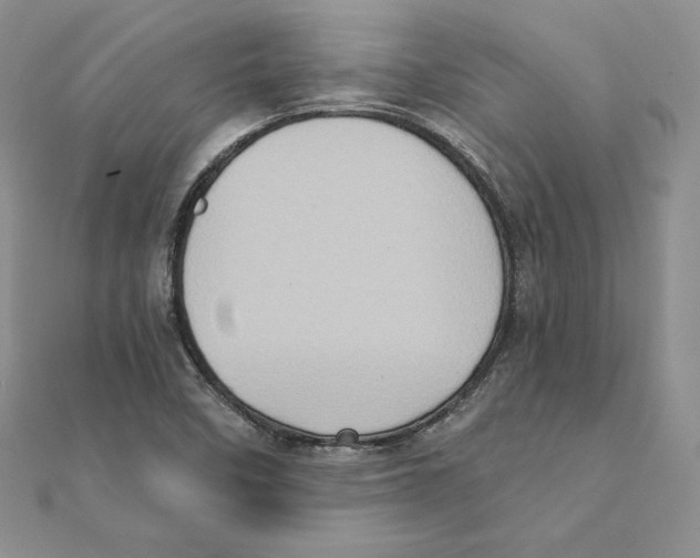 X0000111131458200907281040