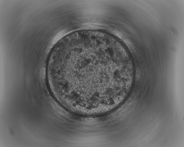 X0000111131459200907281040