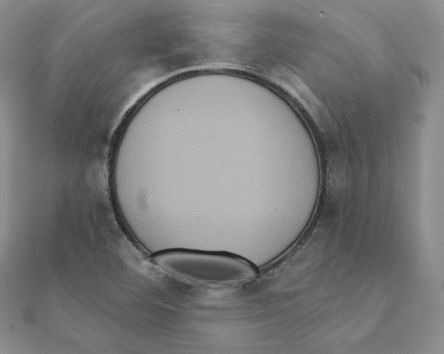 X0000111131460200907281040