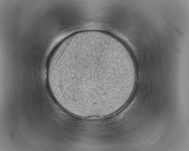 X0000111131461200907281040