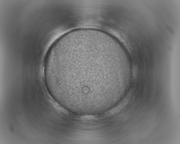 X0000111131462200907281040