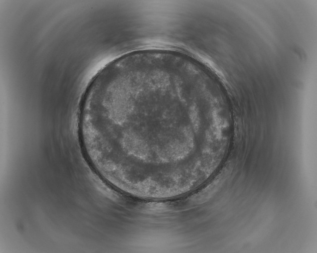 X0000111131463200907281040