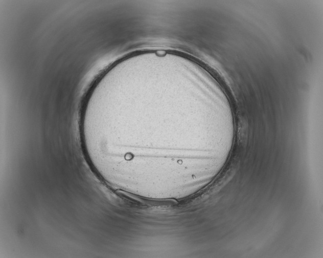 X0000111131464200907281040