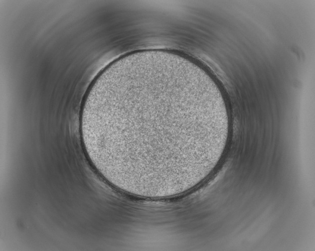 X0000111131465200907281040