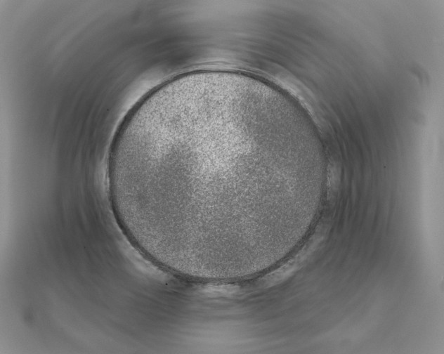 X0000111131466200907281040