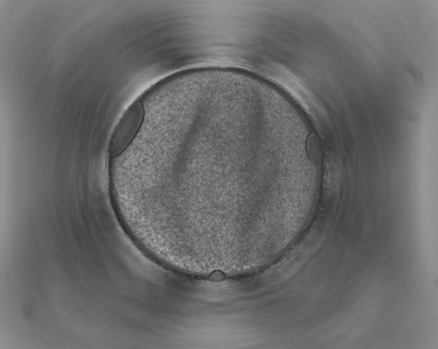 X0000111131468200907281040