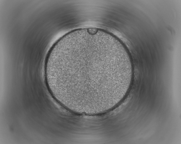 X0000111131469200907281040