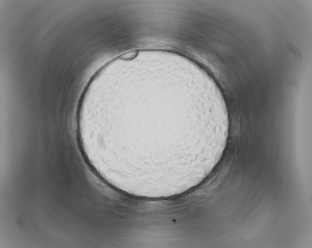 X0000111131471200907281040