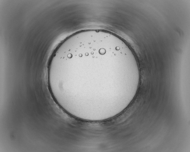 X0000111131472200907281040