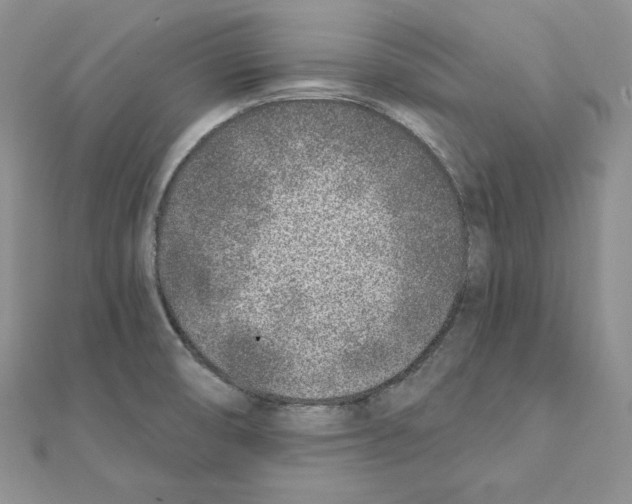 X0000111131474200907281040