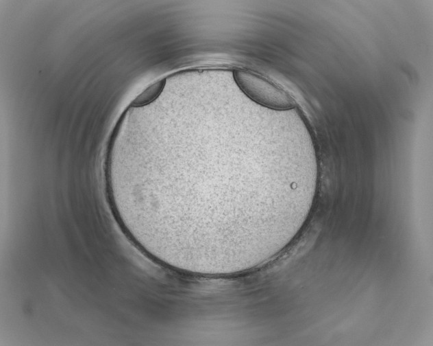 X0000111131475200907281040
