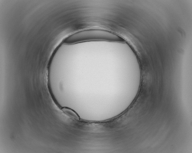 X0000111131476200907281040