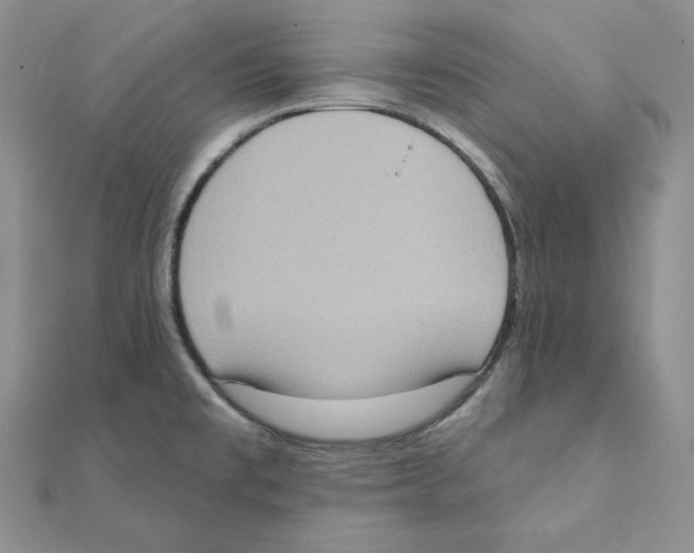 X0000111131477200907281040