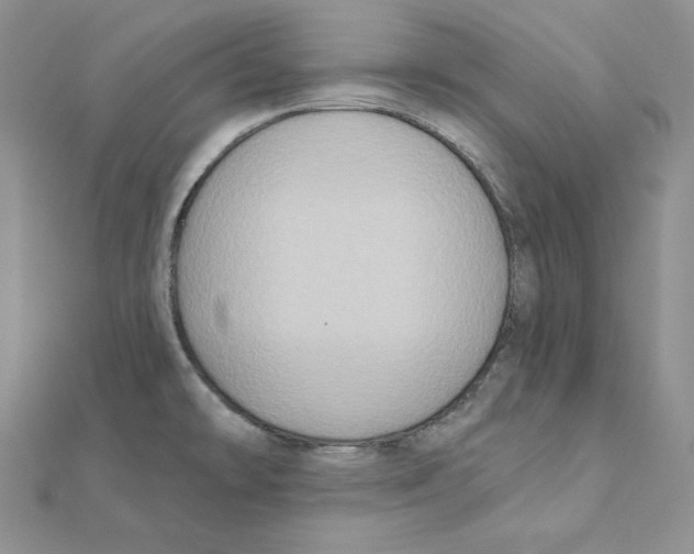X0000111131478200907281040