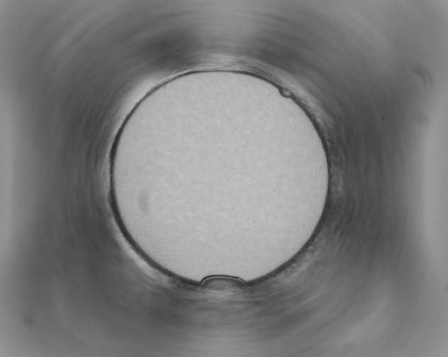 X0000111131479200907281040
