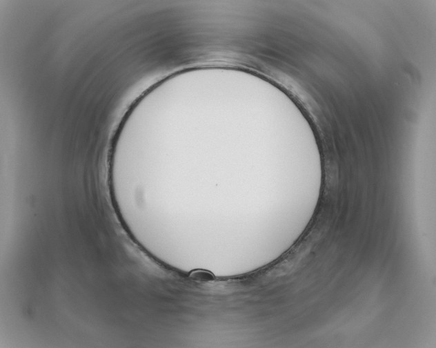 X0000111131480200907281040