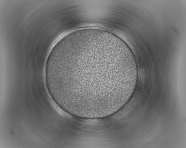 X0000111131482200907281040