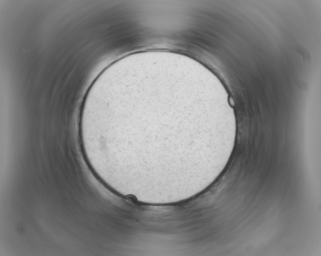 X0000111131483200907281040