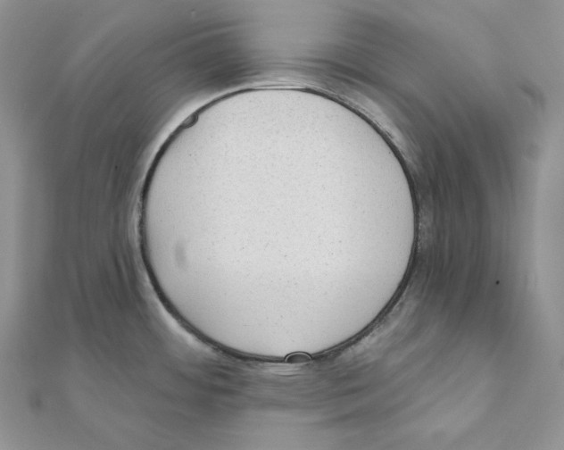 X0000111131484200907281040