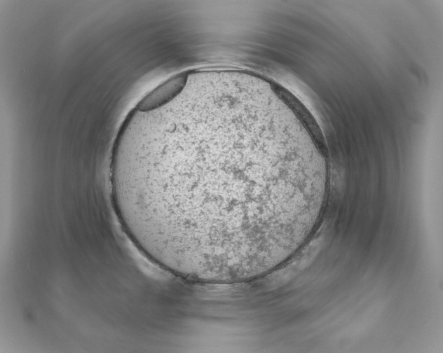 X0000111131485200907281040