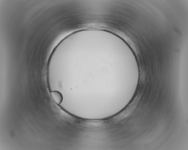 X0000111131486200907281040