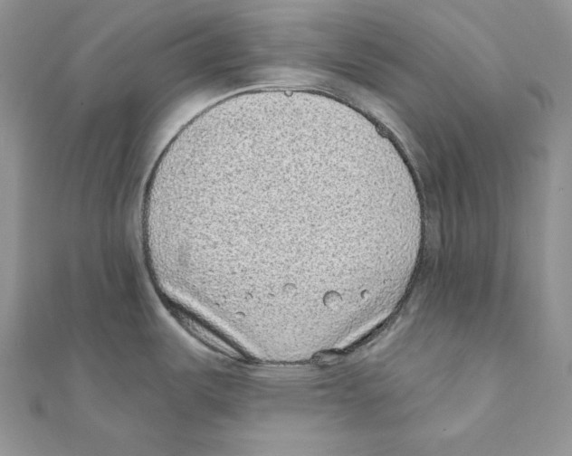 X0000111131487200907281040