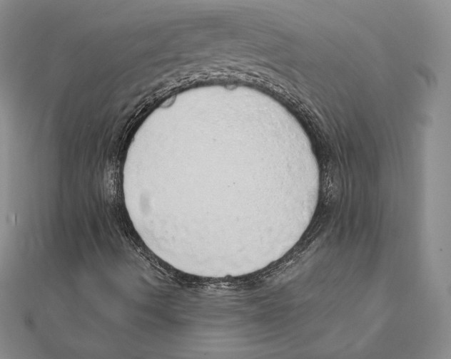 X0000111131490200907281039