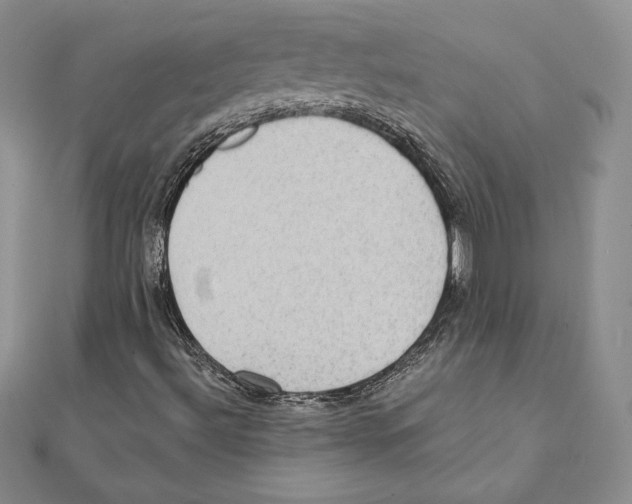 X0000111131492200907281039