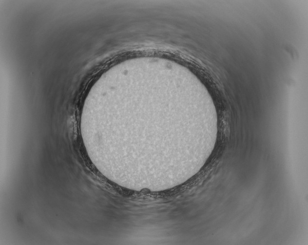 X0000111131493200907281039