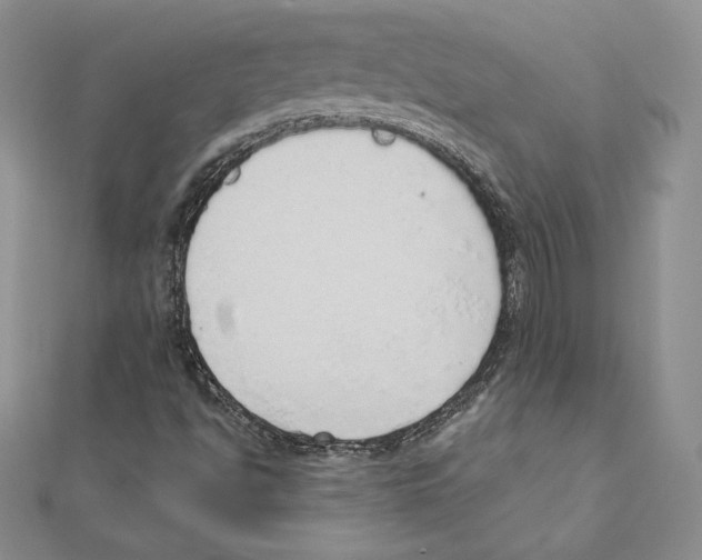 X0000111131494200907281039