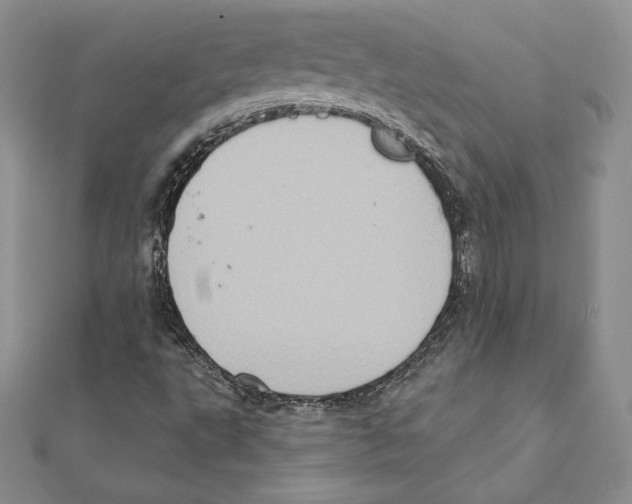 X0000111131495200907281039