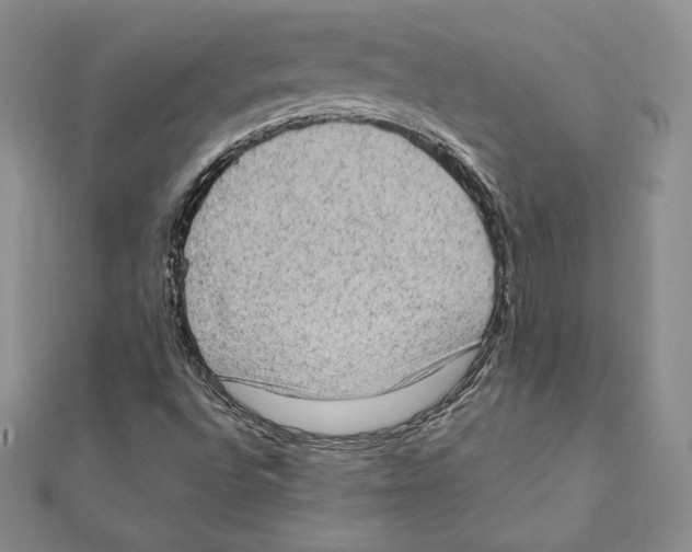 X0000111131496200907281039